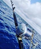 Moulinet Oceanic 20 - Silver - Maxel