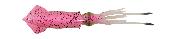 Leurre souple Calamar - Swim Squid 250 - Pink Glow - Savage Gear