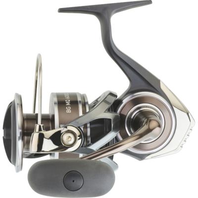 Moulinet BG MQ 2020 - 5000 D H - Daiwa