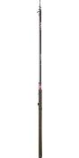 Canne Ninja Trout - 3.4m / 2-16g - Daiwa